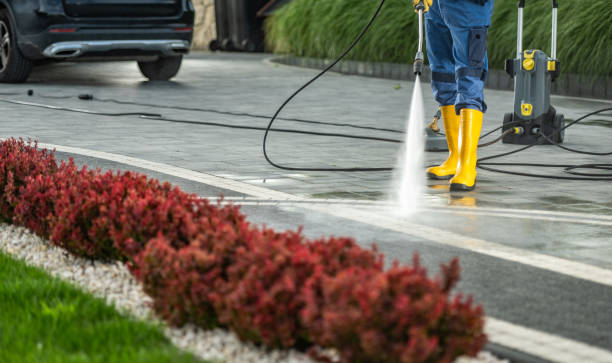 Best Factory Floor Cleaning  in Shawsville, VA
